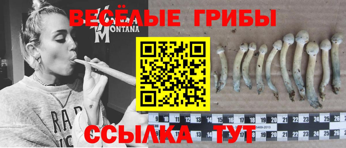 Псилоцибиновые грибы прущие грибы Лысьва